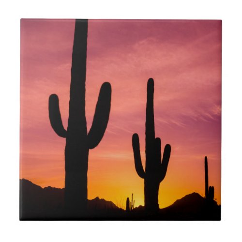 Saguaro cactus at sunrise Arizona Tile