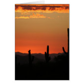 Saguaro Cactus at Sunset (Front)