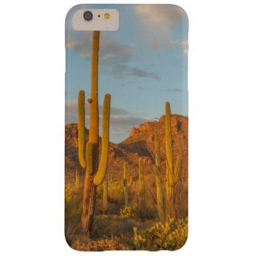 Saguaro cactus at sunset Arizona Barely There iPhone 6 Plus Case