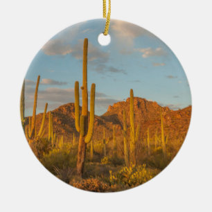 Saguaro cactus at sunset, Arizona Ceramic Ornament