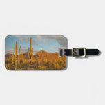 Saguaro Cactus At Sunset, Arizona Luggage Tag at Zazzle
