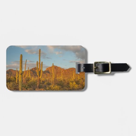 Saguaro Cactus At Sunset, Arizona Luggage Tag