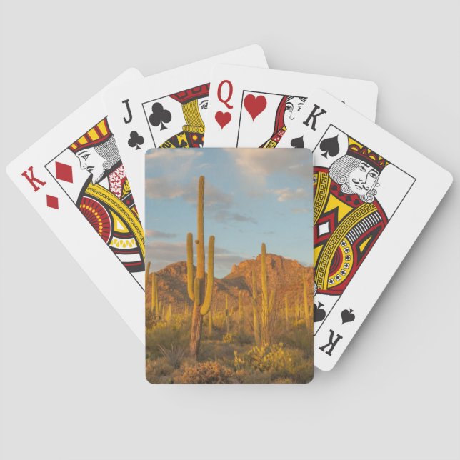 Saguaro cactus at sunset, Arizona Poker Cards (Back)