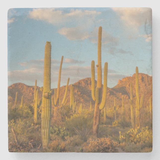 Saguaro cactus at sunset, Arizona Stone Coaster (Front)
