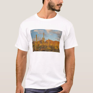 Saguaro cactus at sunset, Arizona T-Shirt