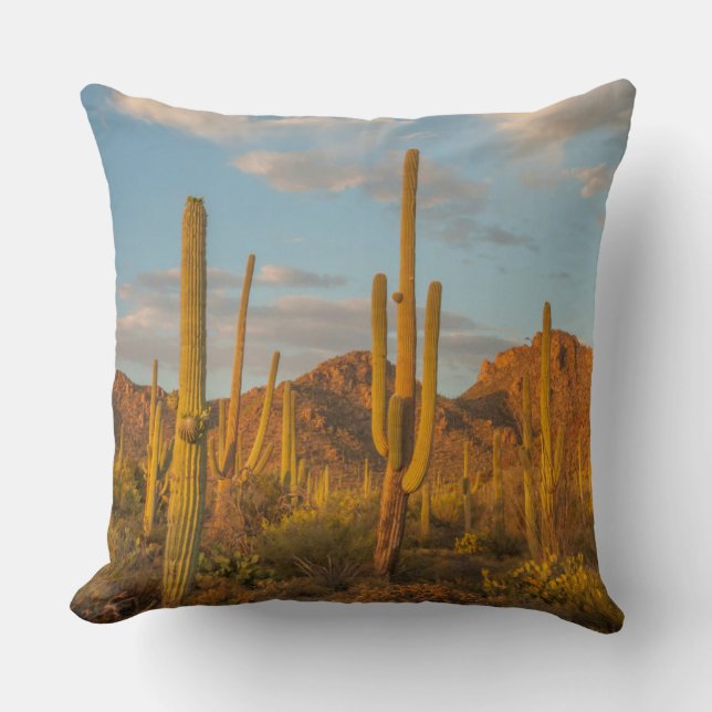 Saguaro cactus at sunset, Arizona Throw Pillow (Front)
