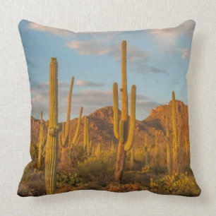 Saguaro cactus at sunset, Arizona Throw Pillow