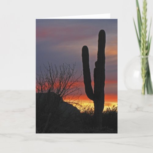 Saguaro Cactus at Sunset Blank Greeting Card