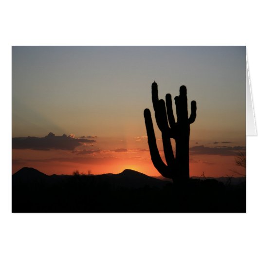 Saguaro Cactus at Sunset Cards (Front Horizontal)