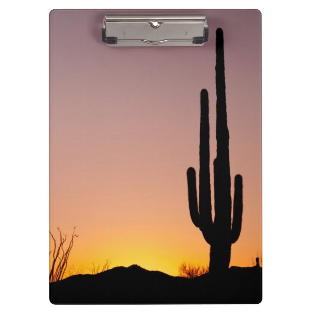 Saguaro Cactus at Sunset Clipboard (Front)