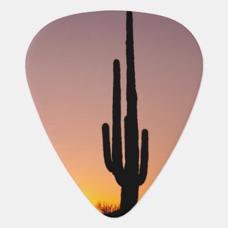 Saguaro Cactus At Sunset Guitar Pick