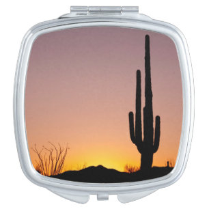 Saguaro Cactus at Sunset Mirror For Makeup