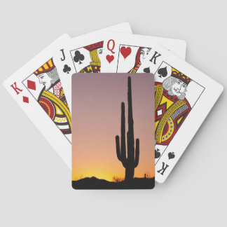 Saguaro Cactus at Sunset Poker Cards