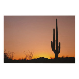 Saguaro Cactus at Sunset Wood Wall Decor
