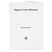 Saguaro Cactus Blossoms Cards (Back)