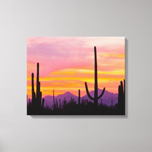 Saguaro Cactus Forest at Sunset Canvas Print