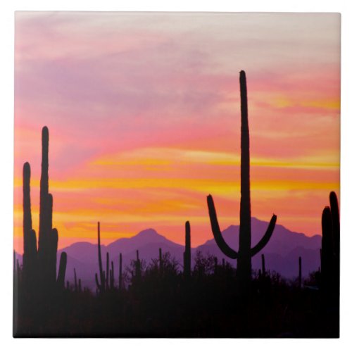 Saguaro Cactus Forest at Sunset Ceramic Tile