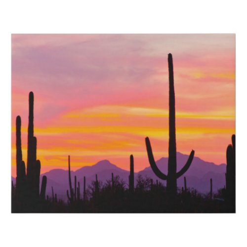 Saguaro Cactus Forest at Sunset Faux Canvas Print