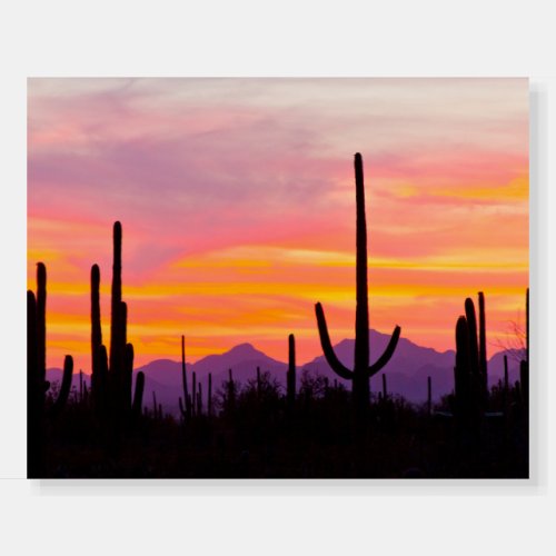 Saguaro Cactus Forest at Sunset Foam Board