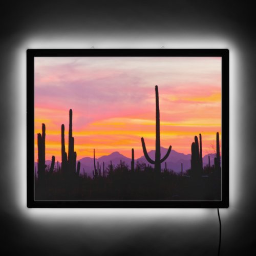 Saguaro Cactus Forest at Sunset LED Sign
