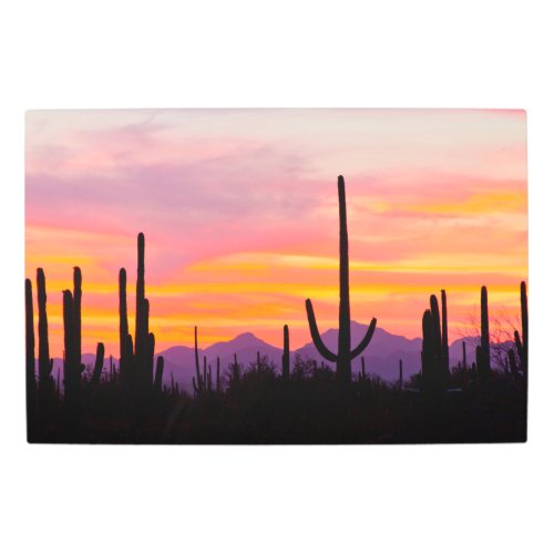 Saguaro Cactus Forest at Sunset Metal Print