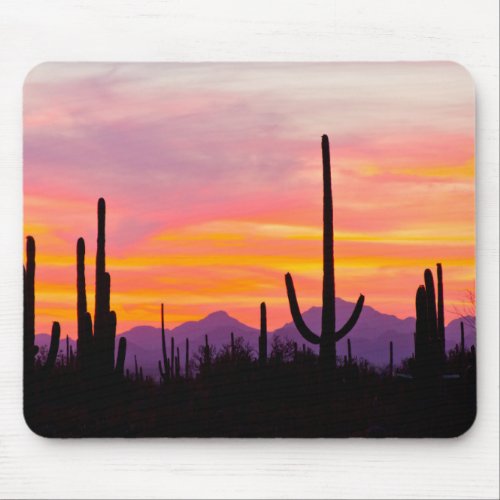 Saguaro Cactus Forest at Sunset Mouse Pad