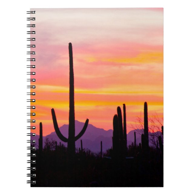 Saguaro Cactus Forest at Sunset Notebook (Front)