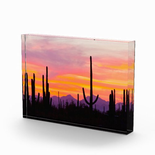 Saguaro Cactus Forest at Sunset Photo Block