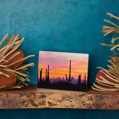 Saguaro Cactus Forest at Sunset Plaque