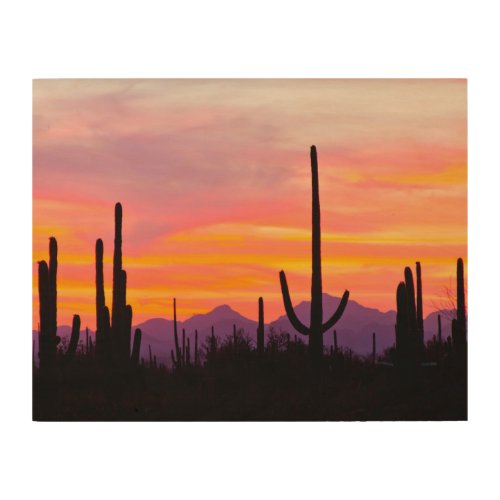 Saguaro Cactus Forest at Sunset Wood Wall Art