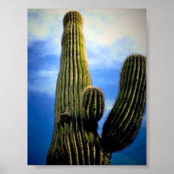 Saguaro Cactus High  Postcard Poster by PattiJAdkins at Zazzle