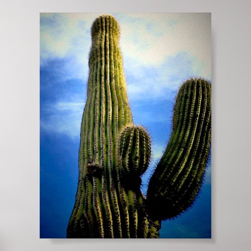 Saguaro Cactus High  Postcard Poster