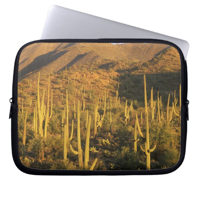 Saguaro cactus in Saguaro National Park near Laptop Sleeve (Front)