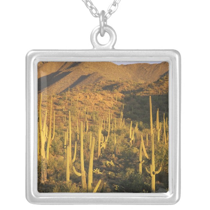 Saguaro cactus in Saguaro National Park near Custom Necklace