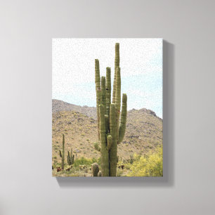 Saguaro Cactus in the Arizona Desert Color 8x10 Canvas Print