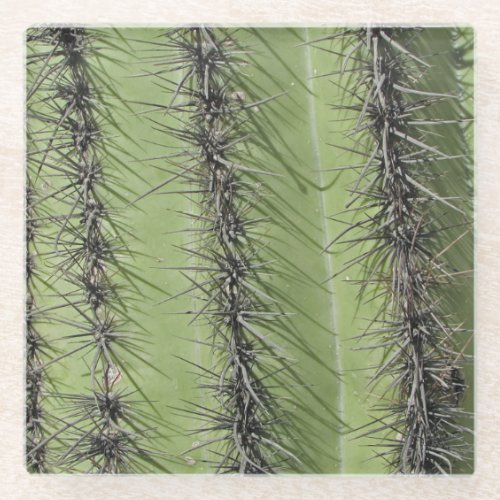 Saguaro Cactus Needles Photo Southwest Nature Glass Coaster
