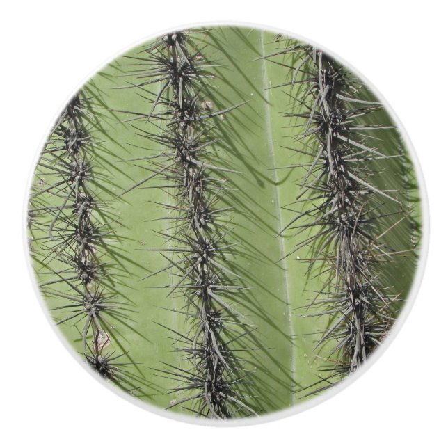 Saguaro Cactus Photo Bright Green Plant Southwest Ceramic Knob (Front)