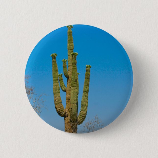 Saguaro Cactus Pinback Button (Front)