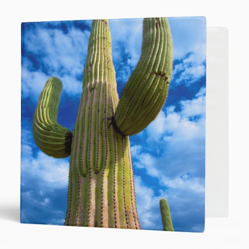 Saguaro cactus portrait Arizona 3 Ring Binder