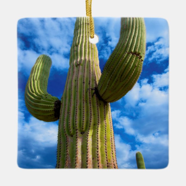 Saguaro cactus portrait, Arizona Ceramic Ornament (Front)
