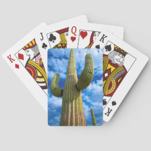 Saguaro cactus portrait, Arizona Poker Cards