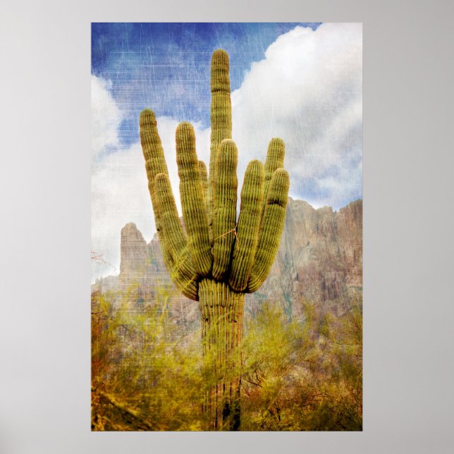 Saguaro Cactus Poster (Front)