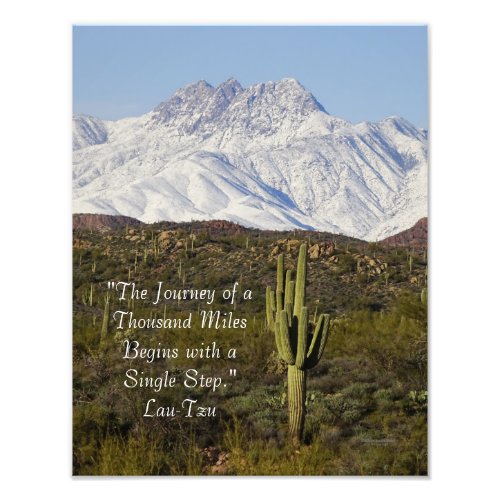 Saguaro Cactus Snow Capped Mountains Arizona USA Photo Print
