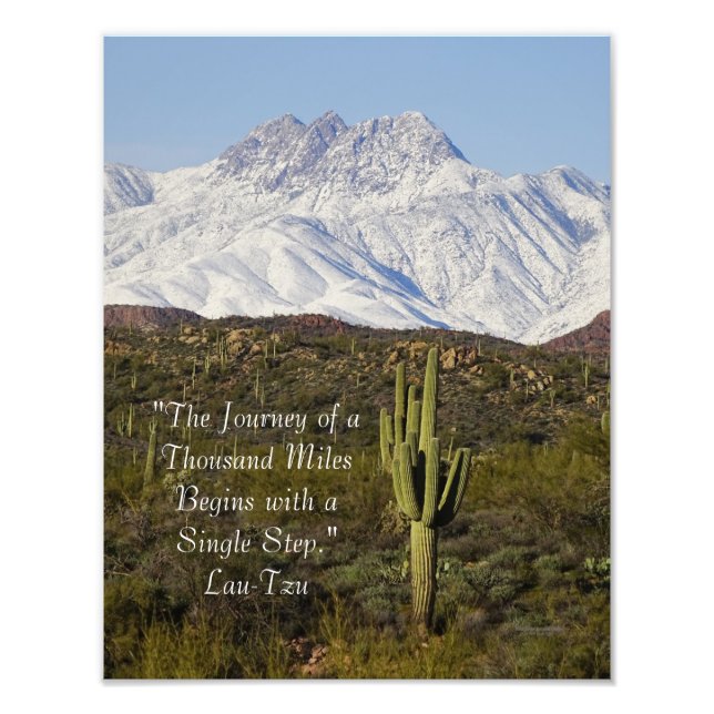 Saguaro Cactus Snow Capped Mountains Arizona USA Photo Print (Front)