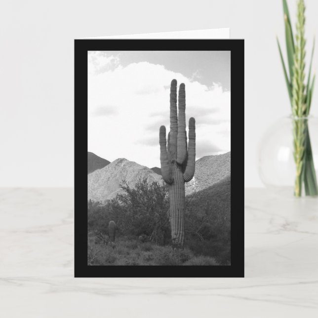 Saguaro Cactus Sonoran Desert Photo Greeting Cards (Front)