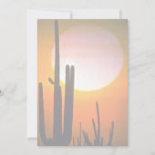 Saguaro cactus, Sonoran Desert, U.S.A. Desert (Front)