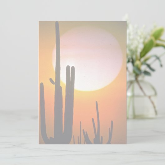 Saguaro cactus, Sonoran Desert, U.S.A. Desert (Standing Front)