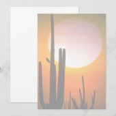 Saguaro cactus, Sonoran Desert, U.S.A. Desert (Front/Back)