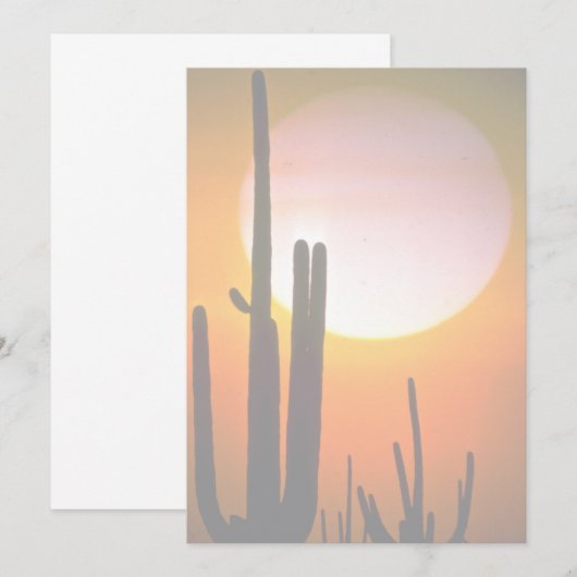 Saguaro cactus, Sonoran Desert, U.S.A. Desert (Front/Back)