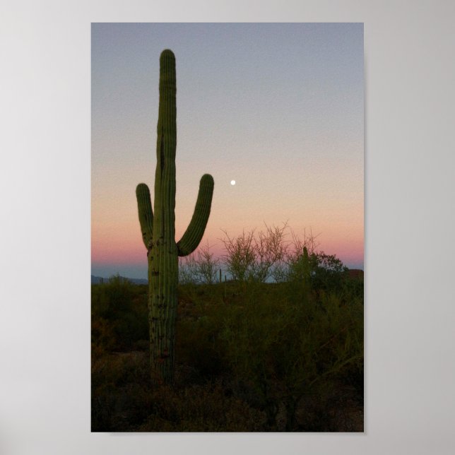 Saguaro Cactus Sunset Arizona Photo Poster (Front)